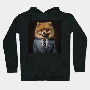 Pomeranian Dog in Suit Hoodie